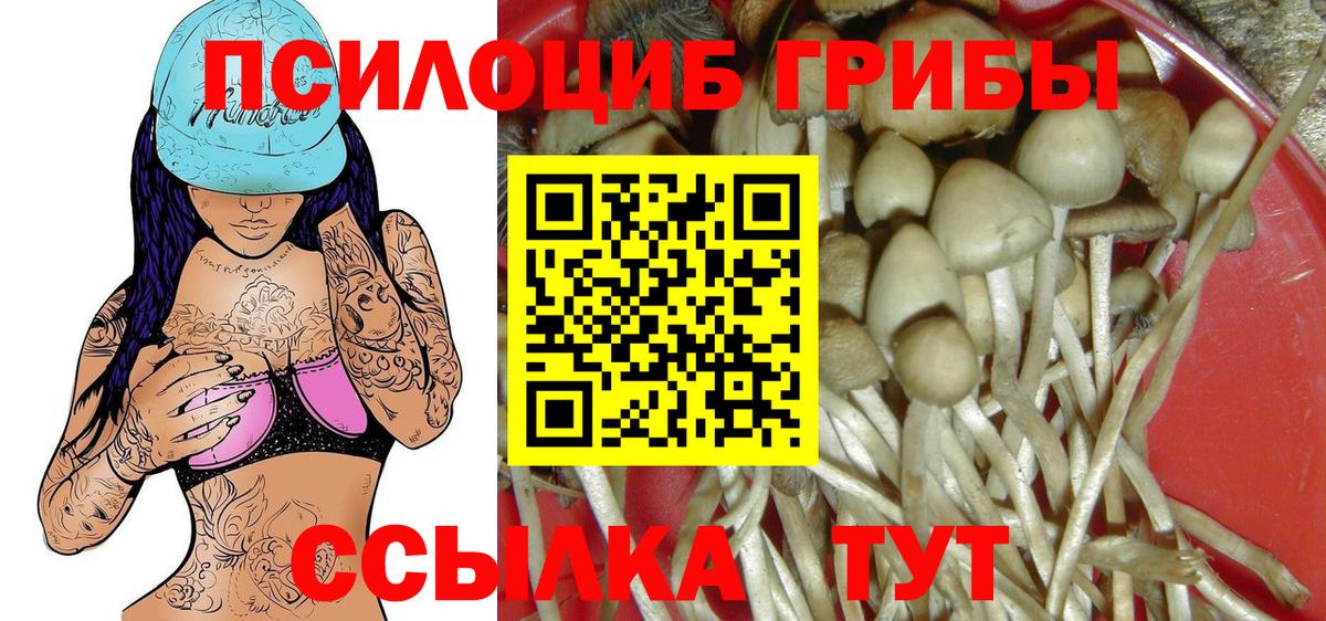 Псилоцибиновые грибы ЛСД Феодосия